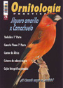 Ornitología práctica Nº 78. Jilguero amarillo x Camachuelo