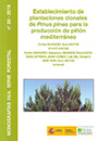 Establecimiento de plantaciones clonales de Pinus pinea para la producción de piñón mediterráneo