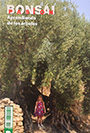 Revista Bonsái Pasión. Nº 86. Aprendiendo de los árboles