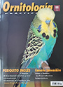 Ornitología práctica Nº 99. Periquito inglés (1ª Parte)