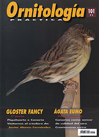 Ornitología Práctica. Nª101. Gloster Fancy. Ágata Eumo