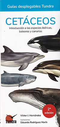Cetáceos. Introducción a las especies ibéricas baleares y canarias.(Guía desplegable Tundra) 2ªEd