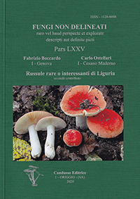 Fungi Non Delineati. Pars LXXV Russule rare o interessanti di Liguria – secondo contributo. 
