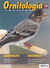 Ornitología Práctica. Nº 103. Cardenalito-Camachuelo
