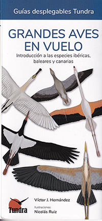 Grandes aves en vuelo. Introducción a las especies ibéricas, baleares y canarias (Guias desplegables Tundra)