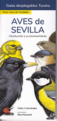 Aves de Sevilla. Introducción a su reconocimiento (Guías desplegables Tundra)