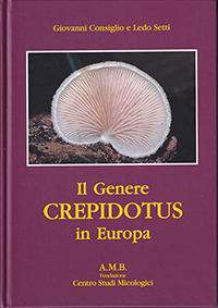 Il genere Crepidotus in Europa