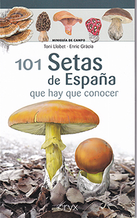 101 Setas de España que hay que conocer