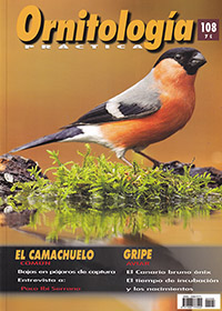 Ornitología práctica. Nº108. El Camachuelo común, gripe aviar