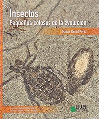 Insectos: pequeños colosos de la evolución