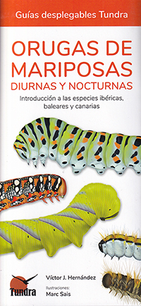 Orugas de mariposas diurnas y nocturnas. Introducción a las especies ibéricas, baleares y canarias (Guías desplegables Tundra)