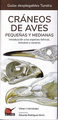 Cráneos de aves pequeñas y medianas. Introducción a las especies ibéricas, baleares y canarias (Guías desplegables Tundra)