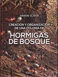 Hormigas de Bosque. Creación y organización de una colonia