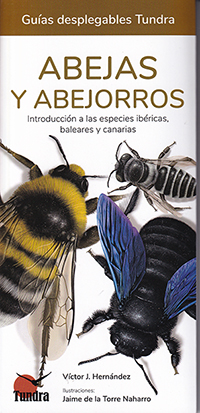 Abejas y abejorros. Introducción a las especies ibéricas, baleares y canarias (Guías desplegables Tundra)