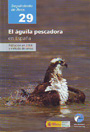 Águila pescadora en España, El