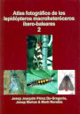 Atlas fotográfico de los lepidópteros macroheteróceros íbero-baleares 2