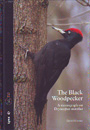 Black Woodpecker, The