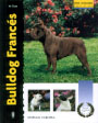 Bulldog francés (Excellence)