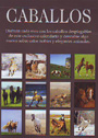 Caballos. Calendario desplegable 2011