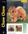 Chow chow (Excellence)