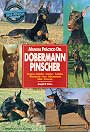 Dobermann Pinscher, Manual práctico del