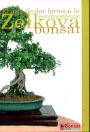 Guía Zelkova bonsái