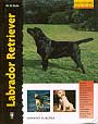 Labrador Retriever (Excellence)
