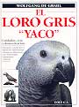 Loro gris "Yaco", El.