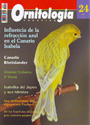 Ornitología práctica. Nº24. Influencia de la refracción azul en el Canario Isabela