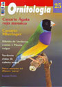 Ornitología práctica. Nº25. Canario ágata rojo mosaico. Canario mheringer