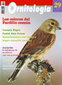 Ornitología práctica. Nº29. Los colores del Pardillo Común