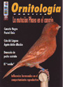 Ornitología práctica. Nº35. La mutación Phaeo en el canario