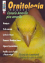 Ornitología práctica Nº 81. Canario amarillo pico amarillo