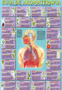 Guía de aromaterapia. El poder curativo de los aceites esenciales (Lámina)