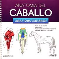 Anatomía del caballo. Libro para colorear