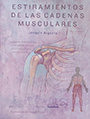 Estiramientos de las cadenas musculares