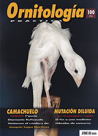 Ornitología Práctica. nº 100. Camachuelo. Mutación diluida