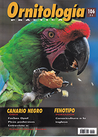 Ornitología Práctica. Nº106 . Canario Negro, Fenotipo