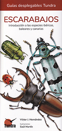 Escarabajos. Introducción a las especies ibéricas, baleares y canarias. (Guías desplegables Tundra)