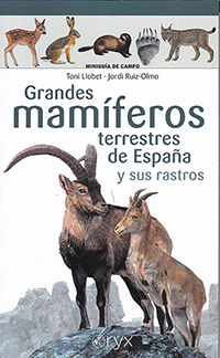 Grandes mamíferos terrestres de España y sus rastros