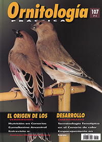 Ornitología práctica. Nº107. El orígen de los verderones. Desarrollo embrionario