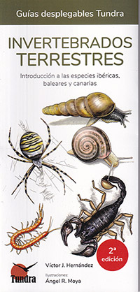 Invertebrados terrestres. Introducción a las especies ibéricas (Guías desplegables Tundra)
