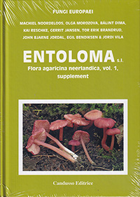 Entoloma 5B. Flora agaricina neerlandica, vol. 1, supplement - 1