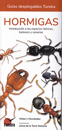 Hormigas león, ascaláfidos y crisopas. Introducción a las especies ibéricas, baleares y canarias (Guías desplegables Tundra)