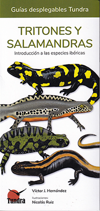 Tritones y salamandras. Introducción a las especies ibéricas (Guías deplegables Tundra)