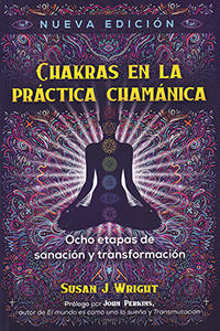 Chakras en la práctica Chamánica