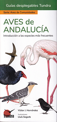 Aves de Andalucía. Introducción a las especies más frecuentes (Guías desplegables Tundra)
