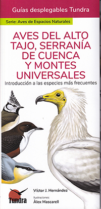 Aves del Alto Tajo, Serranía de Cuenca y Montes Universales. Introducción a las especies más frecuentes (Guías desplegables Tundra)