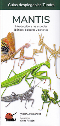 Mantis. Introducción a las especies ibéricas, baleares y canarias (Guías desplegables Tundra)