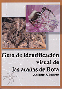 Guía de identificación visual de las arañas de Rota